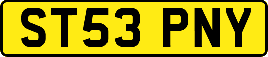 ST53PNY