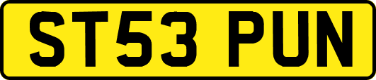 ST53PUN