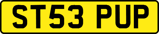 ST53PUP