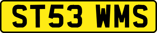 ST53WMS