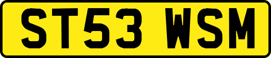 ST53WSM