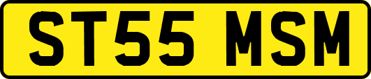 ST55MSM