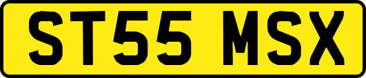 ST55MSX