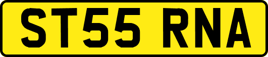 ST55RNA