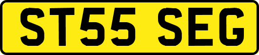 ST55SEG