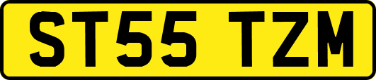 ST55TZM