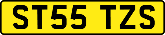 ST55TZS