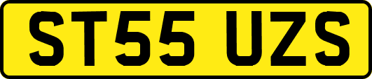 ST55UZS