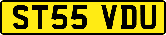 ST55VDU