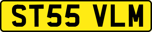 ST55VLM