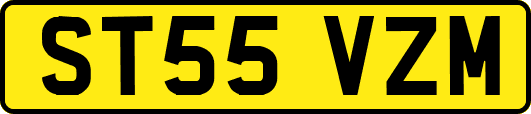 ST55VZM