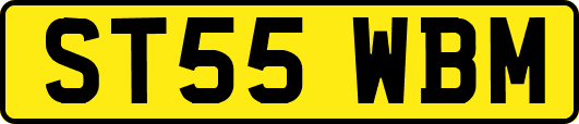 ST55WBM