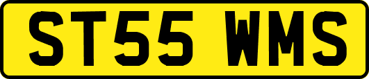 ST55WMS