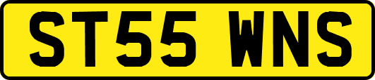 ST55WNS