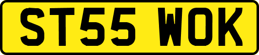 ST55WOK