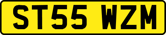 ST55WZM