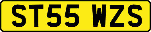 ST55WZS
