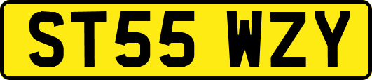 ST55WZY
