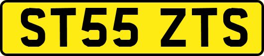 ST55ZTS