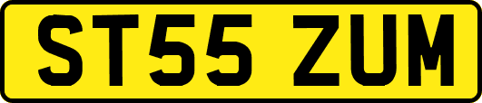 ST55ZUM