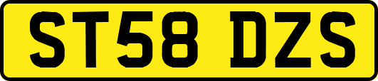 ST58DZS