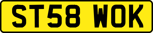 ST58WOK