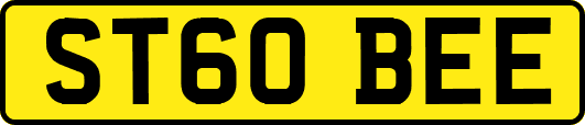 ST60BEE
