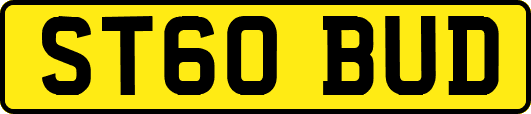 ST60BUD