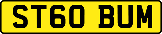 ST60BUM