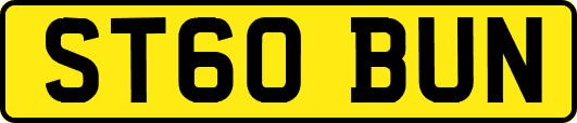 ST60BUN
