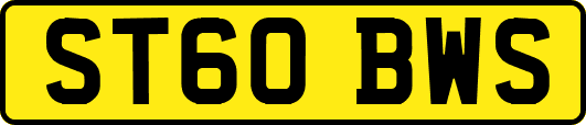 ST60BWS