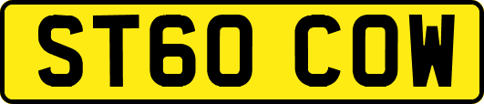 ST60COW