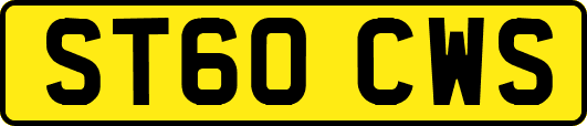 ST60CWS