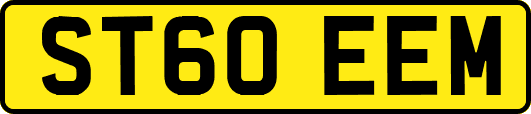ST60EEM
