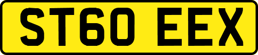 ST60EEX
