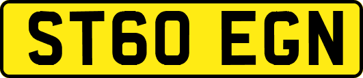 ST60EGN
