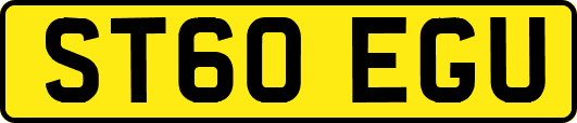 ST60EGU