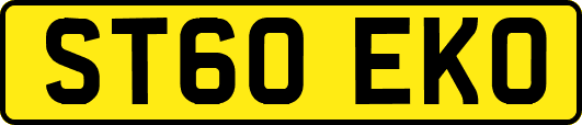 ST60EKO