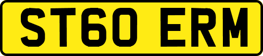 ST60ERM