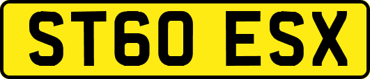ST60ESX