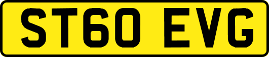 ST60EVG
