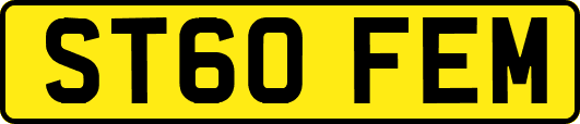 ST60FEM