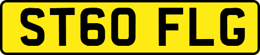 ST60FLG