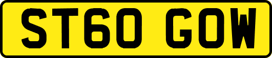 ST60GOW