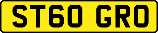 ST60GRO