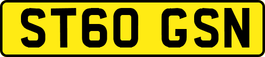 ST60GSN