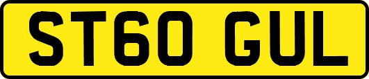 ST60GUL
