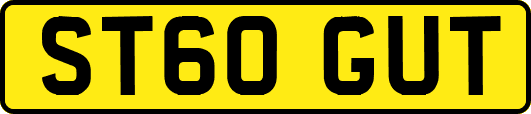 ST60GUT