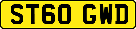 ST60GWD