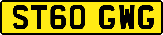 ST60GWG